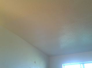 Ceiling Repair After